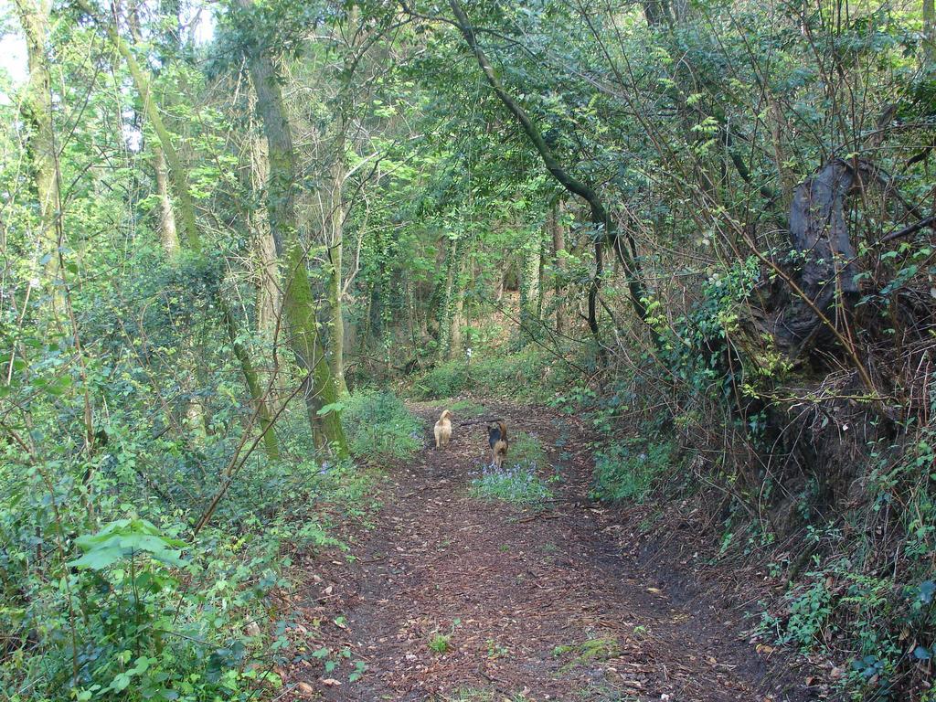 Quinta De Pindela - Natureza E Tradicao * Vila Nova de Famalicao