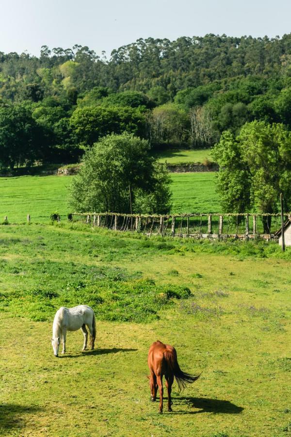 Quinta De Pindela - Natureza E Tradicao Vila Nova de Famalicao